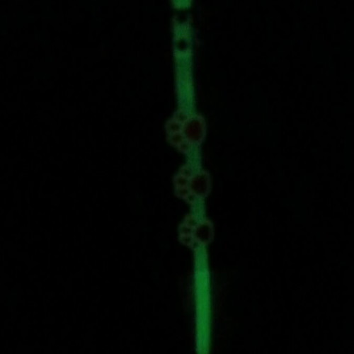 Collar new, glowing in the dark, silicone, 25cm
