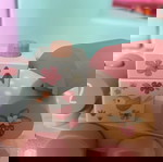  2 ξυλινα παιχνιδια little dutch 12+ μηνων