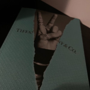 Tiffany & Co βιβλίο  - This is Tiffany No.6-