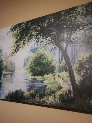 Painting used, natural landscape in excellent condition