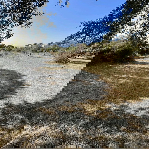 Αγροτεμάχιο 3.076 τ.μ. στη Σαμοθράκη κοντά σε θάλασσα