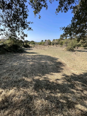 Αγροτεμάχιο 3.076 τ.μ. στη Σαμοθράκη κοντά σε θάλασσα