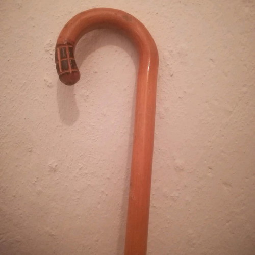 Walking stick and support cane new