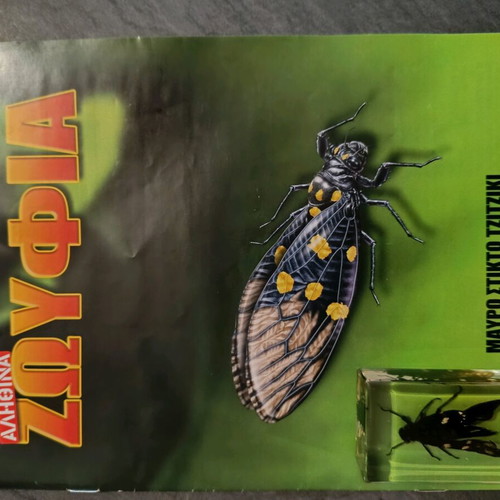Alithina Zofyia Issue 36 used