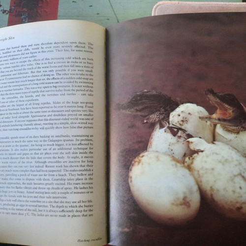 Life on Earth by David Attenborough hardcover used, English