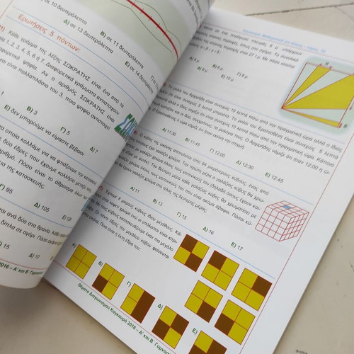 Kangaroo: Mathematics for All Volume 10 like new