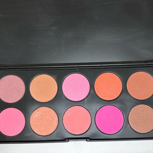 Blush palette with 10 shades like new
