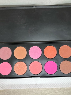 Blush palette with 10 shades like new
