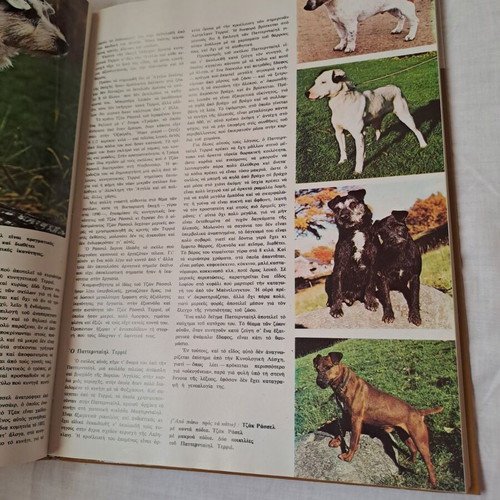 Book/Encyclopedia "The Wonderful World of Animals" like new, Greek