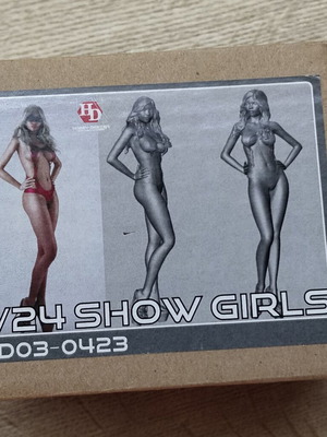Hobby Design Show Girl 1/24 scale model figure kit