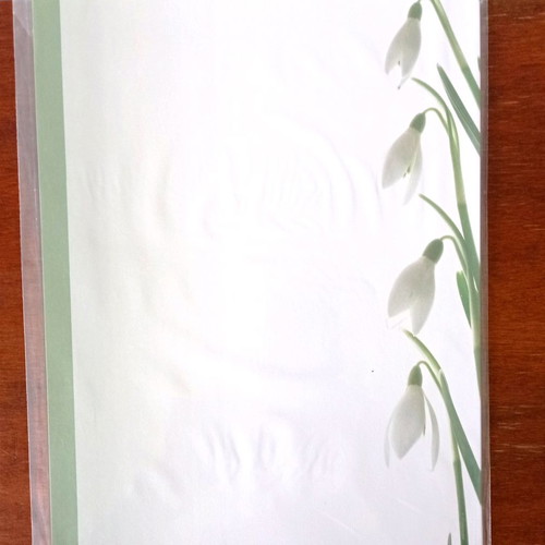 A4 letter paper sheets new, pack of 10, white snowdrop design