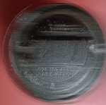 Plastic car oil cap used