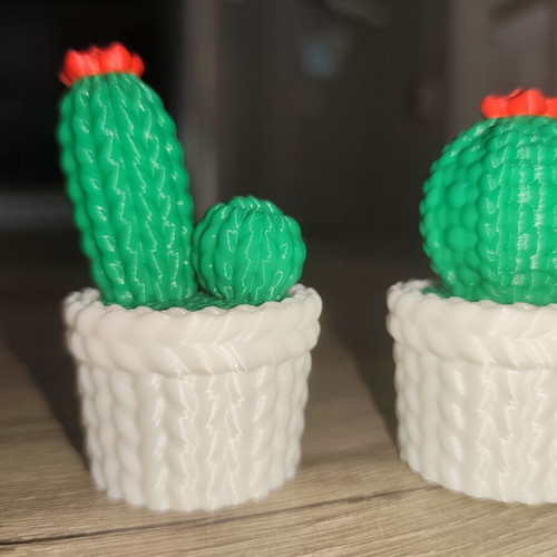 3D-Printed Mini Cactus Set Love, new