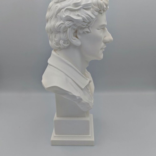Ayrton Senna bust 3D print new