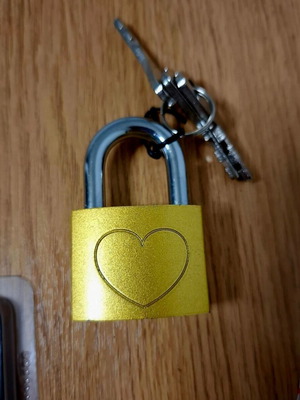 Padlocks new