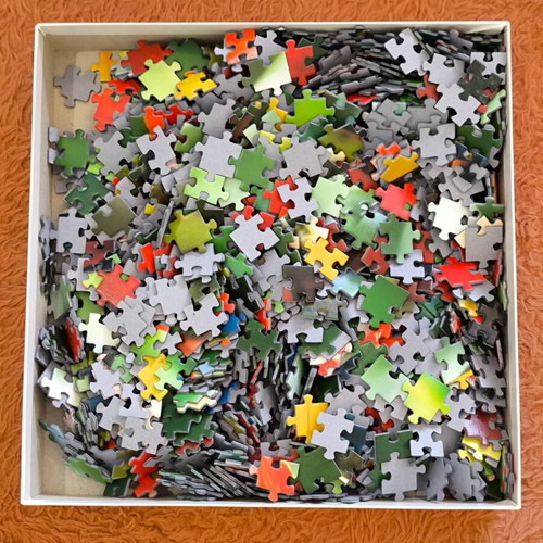 Puzzle 1000 pieces with parrot image