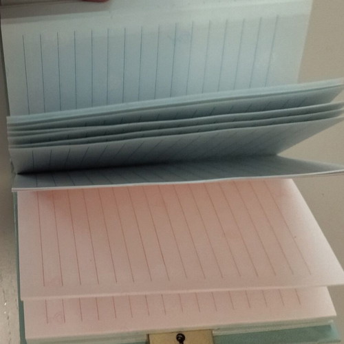 Diary notebook used with colored pages, set of 2