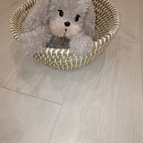 Handmade knitted puppy custom made