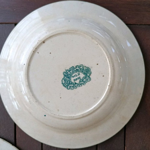 English deep plates Wild Rose Nuneham Courtenay set of 3 like new, green
