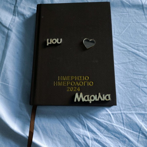 2024 Diary blank, like new