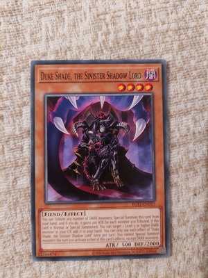 Yu-Gi-Oh Duke Shade the Sinister Shadow Lord like new
