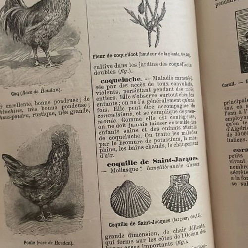French dictionary used of natural history vintage 1840