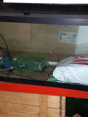 Aquarium like new with accessories, dimensions 1.00x0.30