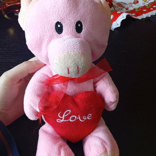 Plush pig used with Love heart