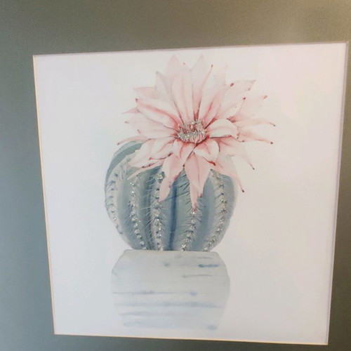 Cactus Plant Art Print used, framed