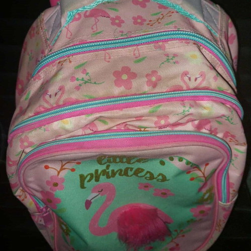Little Princess school backpack in good condition