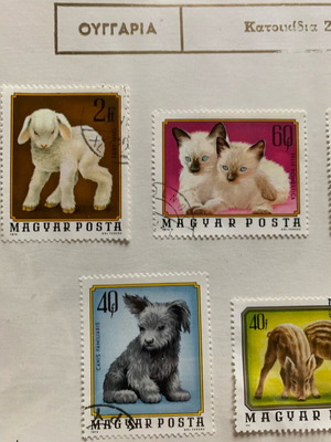 Γραμματόσημα Ουγγαρία Κατοικίδια Ζώα καινούργια, σειρά Νο 56