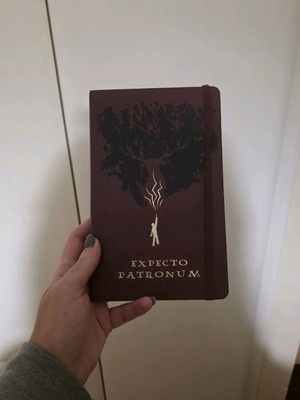 Moleskine Harry Potter Expecto Patronum notebook like new