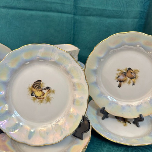 Soviet Birds Korosten Porcelain Set like new for 5 persons