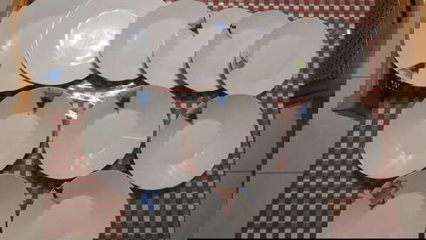 11 πιάτα πορσελάνης illusion