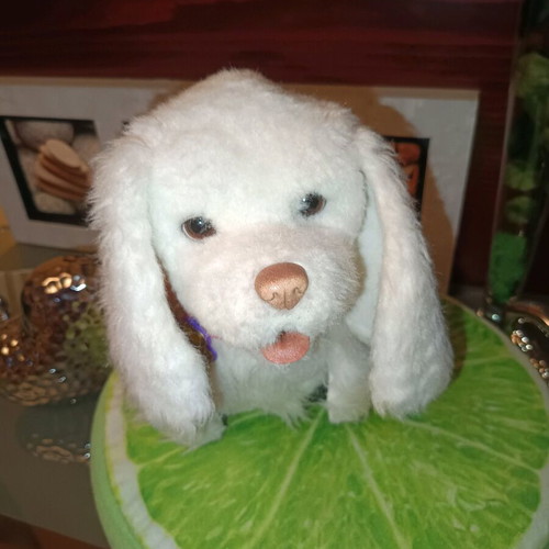 Interactive plush puppy with leash like new