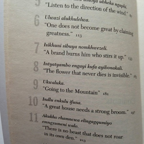 Ndaba Mandela 11 Life Lessons from Nelson Mandela book used