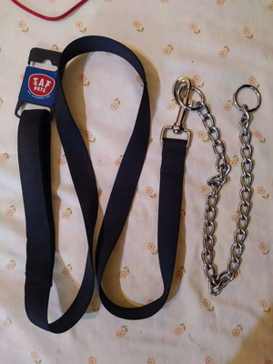 Leash for large dog new with chain