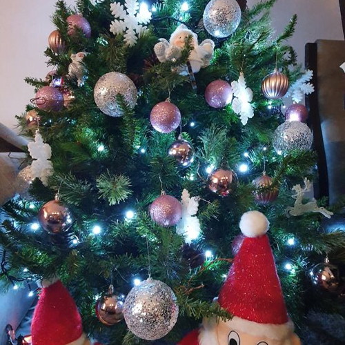 Christmas tree used, 1.65 m tall, with real pine cones