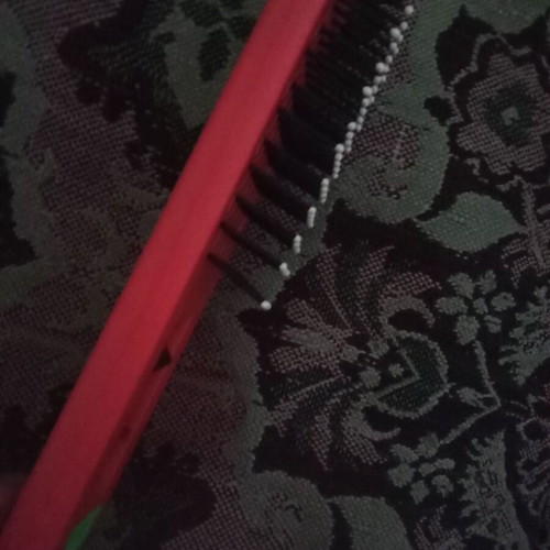 Comb new