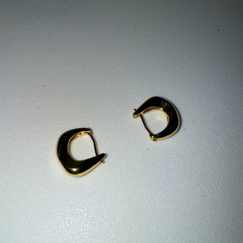 Earrings new stainless steel in gold color