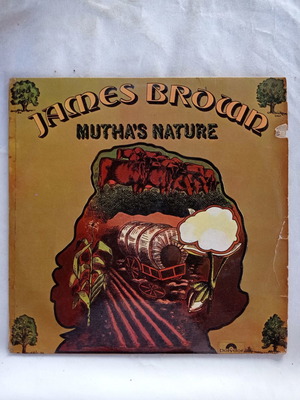 Δίσκοι βινυλίου James Brown Muthas Nature μεταχειρισμένοι, R&B / Soul