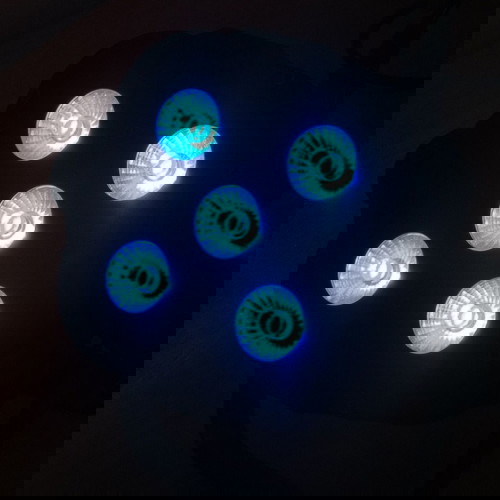 Προβολείς LED Stairville Quad Par Profile 5x8W RGBW σαν καινούργιοι σετ 6 τεμαχίων