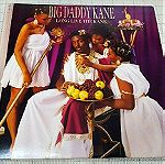  Big Daddy Kane – Long Live The Kane LP US 1988'