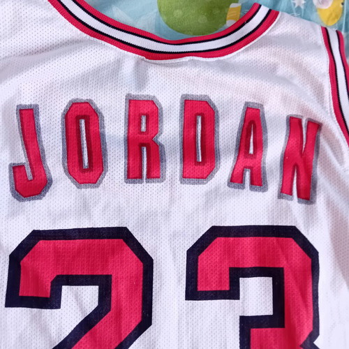 NBA Chicago Bulls Champion Europe 90s Authentic White Jersey Jordan used, size XXL