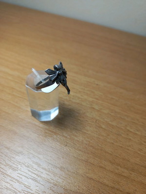 Silver ring size 55 new