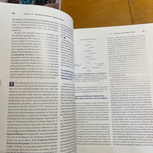 Basic Principles of Biochemistry 2 New Nursing University Book