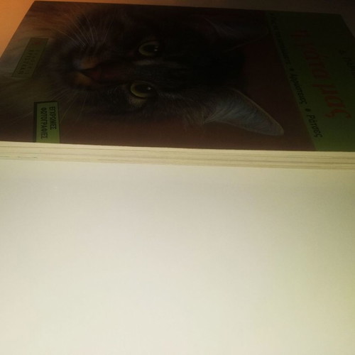Our Cat book used