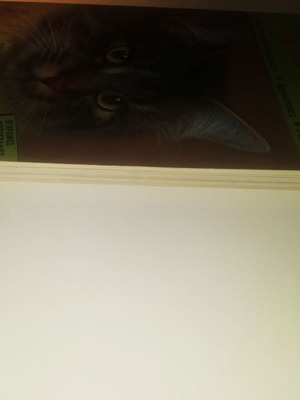 Our Cat book used