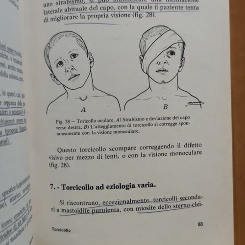 Lezioni di Clinica Ortopedica medical book by Mario Campanacci