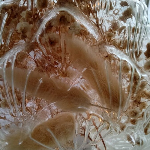 Table lamp LED pinecone new, acrylic 19cm